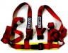 Seat Belt Harness